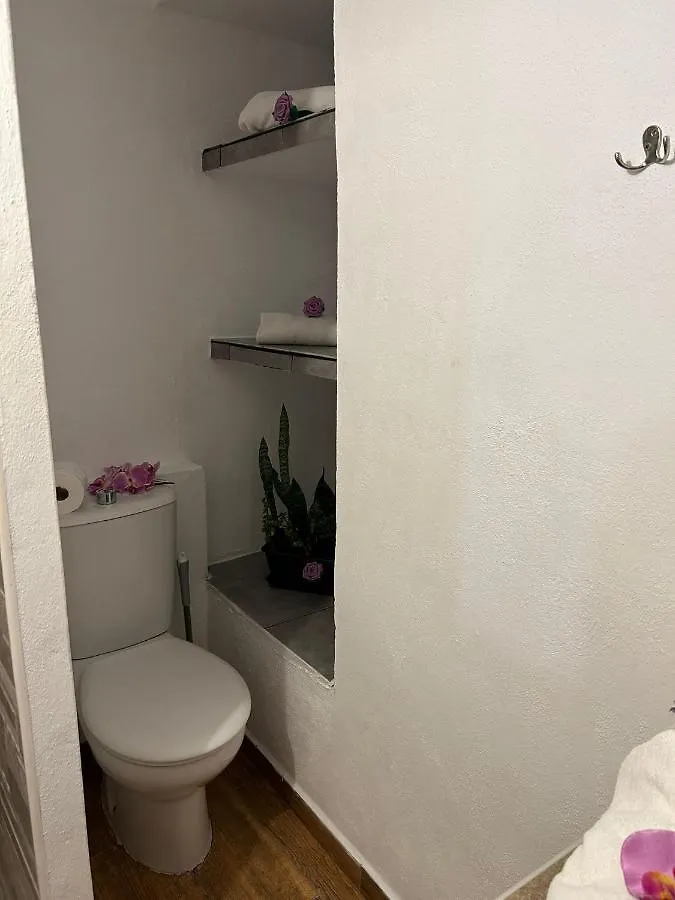 Tradicional Casa Canaria Con Piscina Y Vistas Al Teide Icod De Los Vinos 0*,